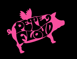 PETE FLOYD~ Tribute to Pink Floyd